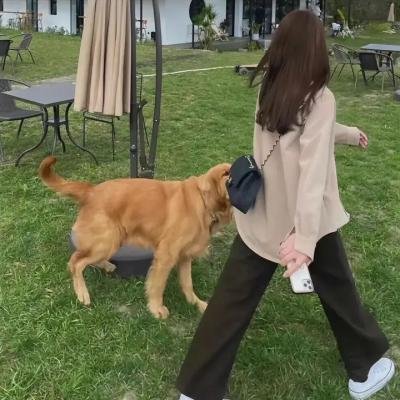 小白龙情海翻波